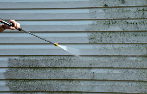 Best Local Pressure Washing Services  in Red Bay, AL
