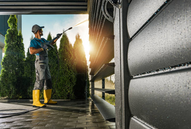 Best Roof Pressure Washing  in Red Bay, AL