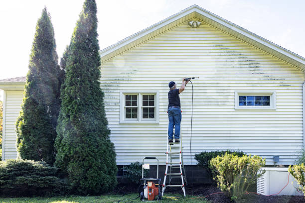 Best Roof Power Washing Services  in Red Bay, AL